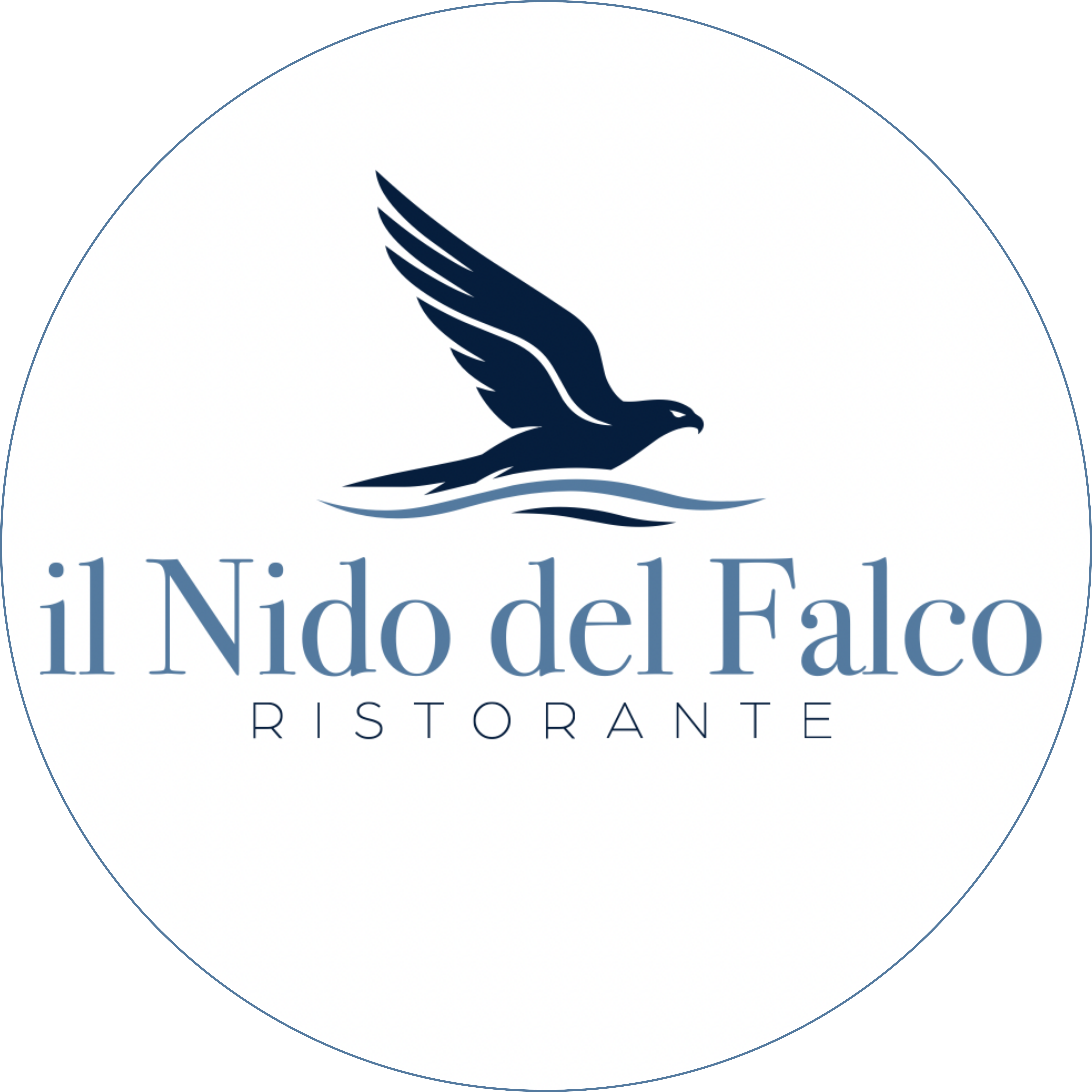 Logo il Nido del Falco